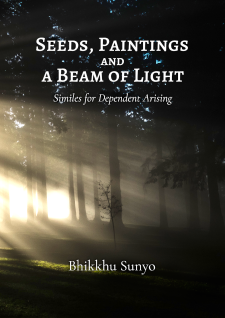 Cover of the book, showing rays of light shining through a forest canopy, hitting a small sapling and fading out in the background.
