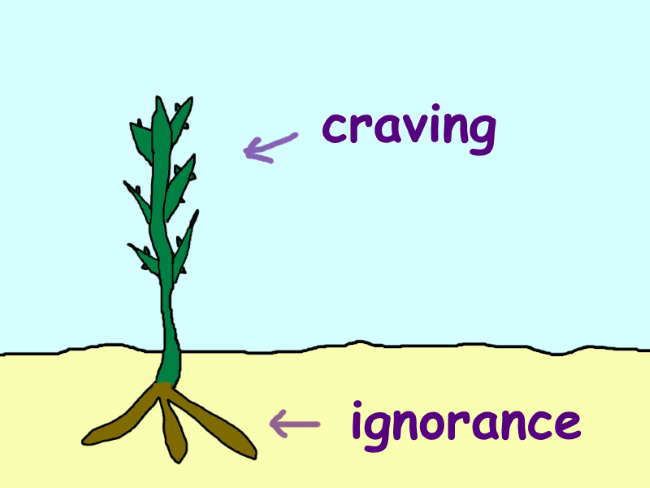 A flower growing from a root. The flower is labeled ‘craving’ and the root ‘ignorance’.
