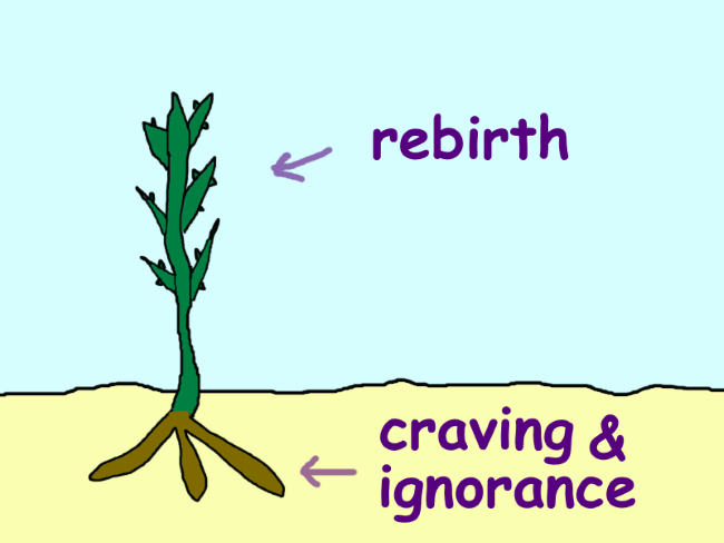 A prickly plant labeled ‘suffering of rebirth’ with a root labeled ‘ignorance and craving’.