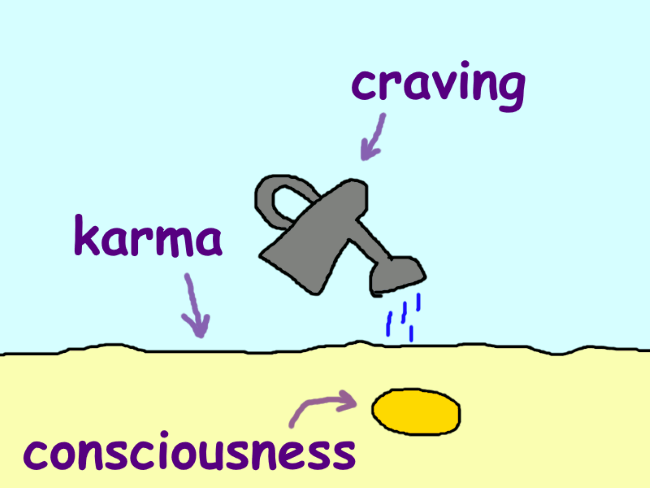 A seed labeled ‘consciousness’ in the ground labeled ‘karma’ being watered by water labeled ‘craving’.