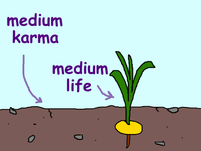 A field with some stones rocks labeled ‘medium karma’ with growing from it a medium-sized plant called ‘medium life’.