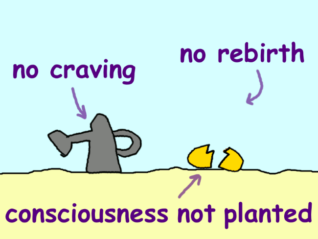 A broken seed laying on the ground next to a watering can standing on the ground. The seed is labeled ‘consciousness not planted’, the can ‘no craving’, the absence of a plant ‘no life’.